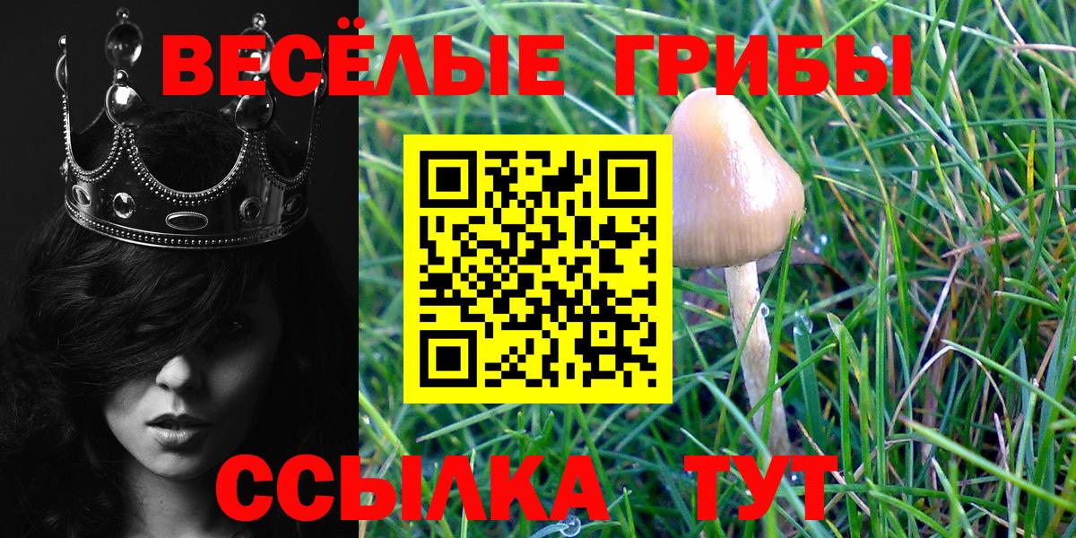 Алапаевск  Галлюциногенные грибы Psilocybe  Галлюциногенные грибы Psilocybine cubensis  Вход с VPN 