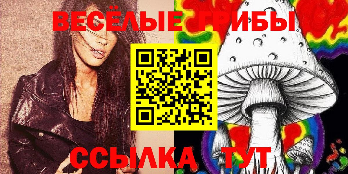Галлюциногенные грибы Psilocybe Алапаевск
